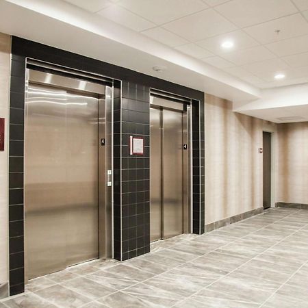 Hilton Garden Inn Tampa Suncoast Parkway Lutz Luaran gambar