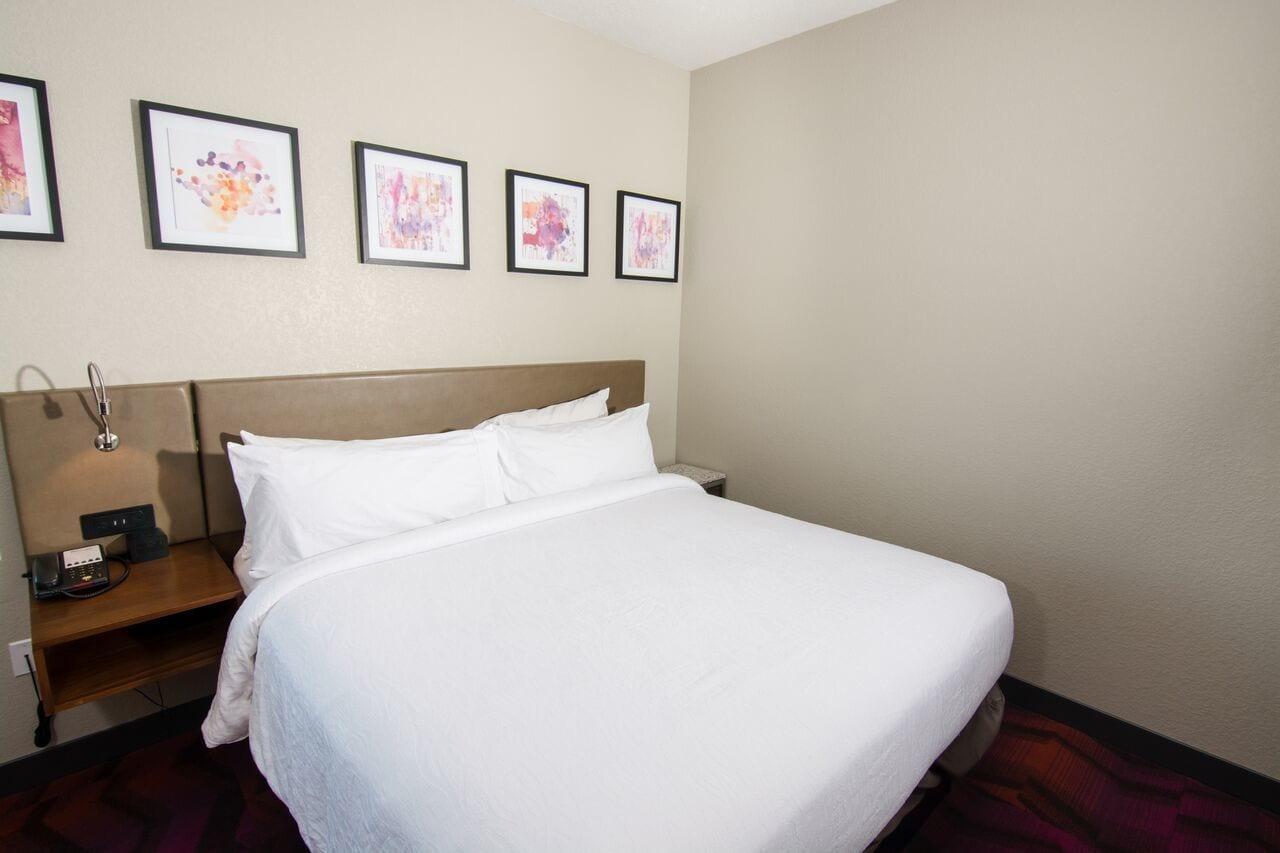 Hilton Garden Inn Tampa Suncoast Parkway Lutz Luaran gambar