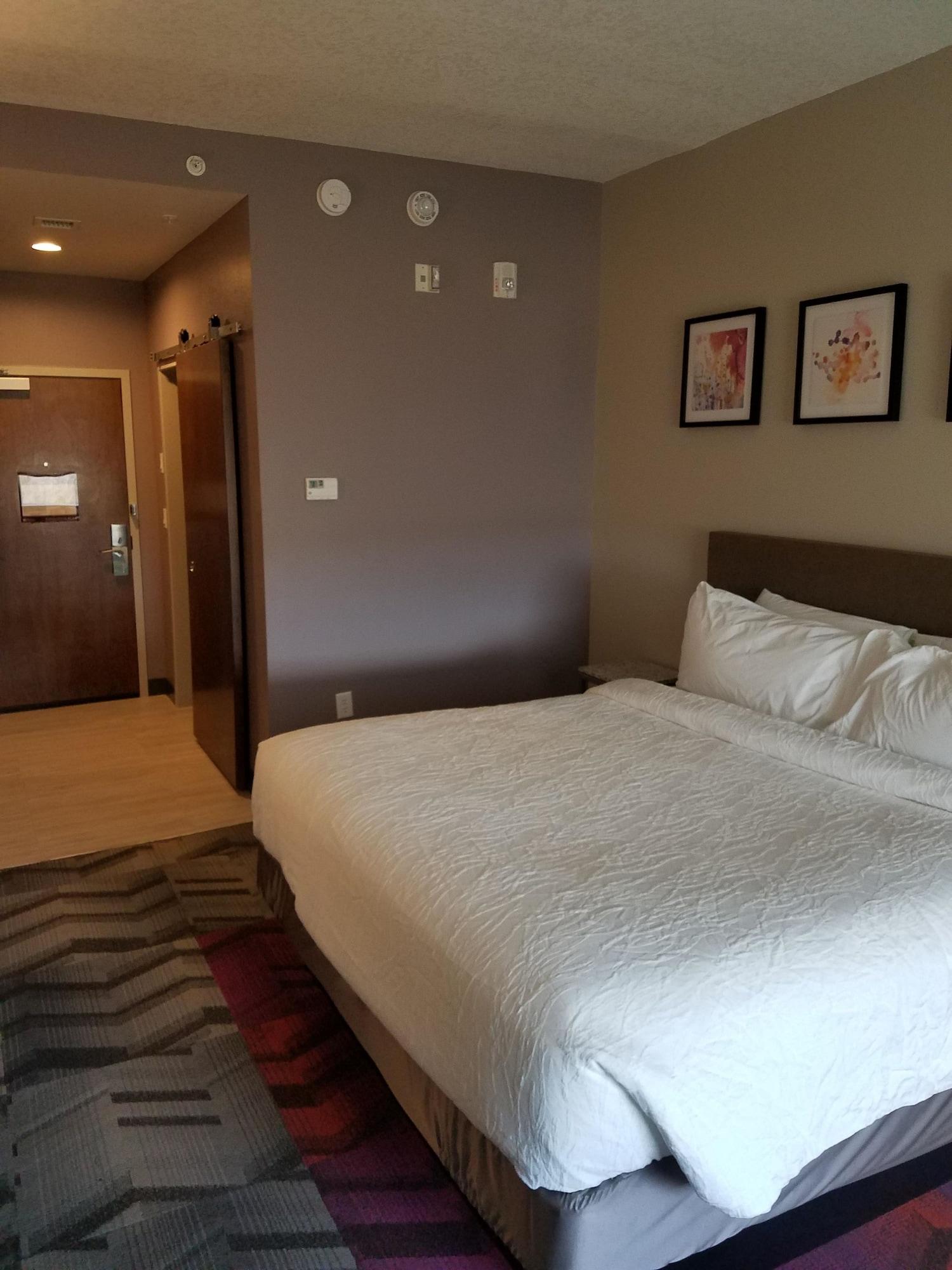 Hilton Garden Inn Tampa Suncoast Parkway Lutz Luaran gambar