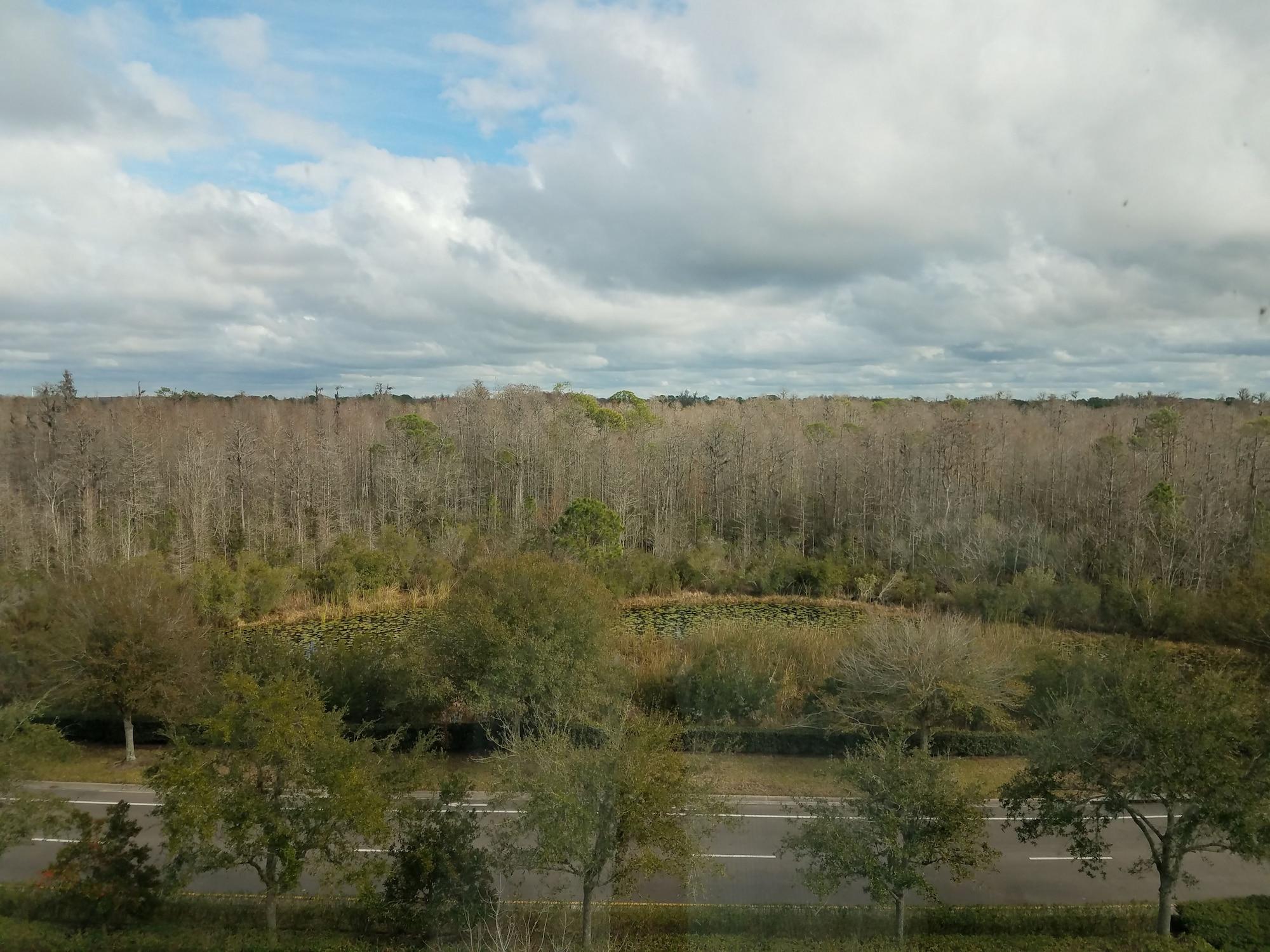 Hilton Garden Inn Tampa Suncoast Parkway Lutz Luaran gambar